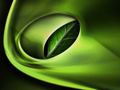 3D Green Slide Nature Background Wallpaper