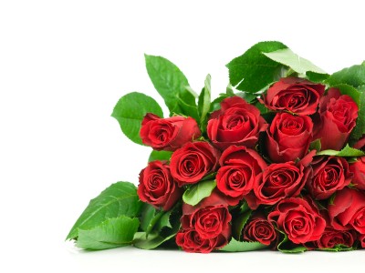 Beautiful Red Roses Background Wallpaper