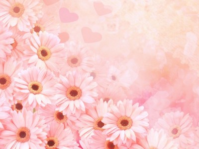 Cute pink flower template Background Wallpaper