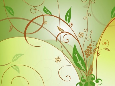 Floral Green Vector Background Wallpaper