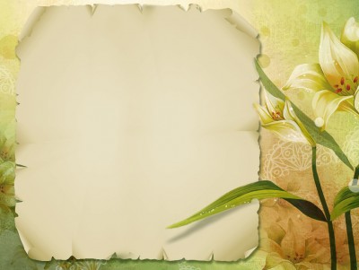 Floral Paper Frame Design Background Wallpaper
