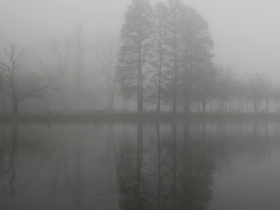 Fog and Landscapes Background Wallpaper