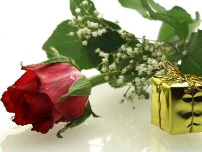 Gift with Rose for Special Days Background Wallpaper
