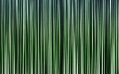Stripes Lines Green Black Background Wallpaper