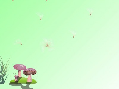 Mushroom Background Wallpaper