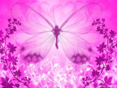 Pink butterfly wallpaper Background Wallpaper
