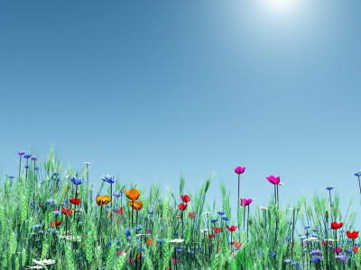 Simple Flower Garden Background Wallpaper