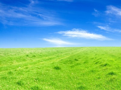 Sky Grass Field Background Wallpaper