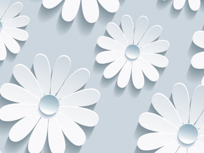 White Floral Pattern Background Wallpaper