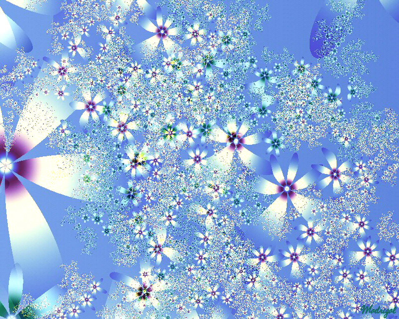 3D Blue Flower Graphic backgrounds