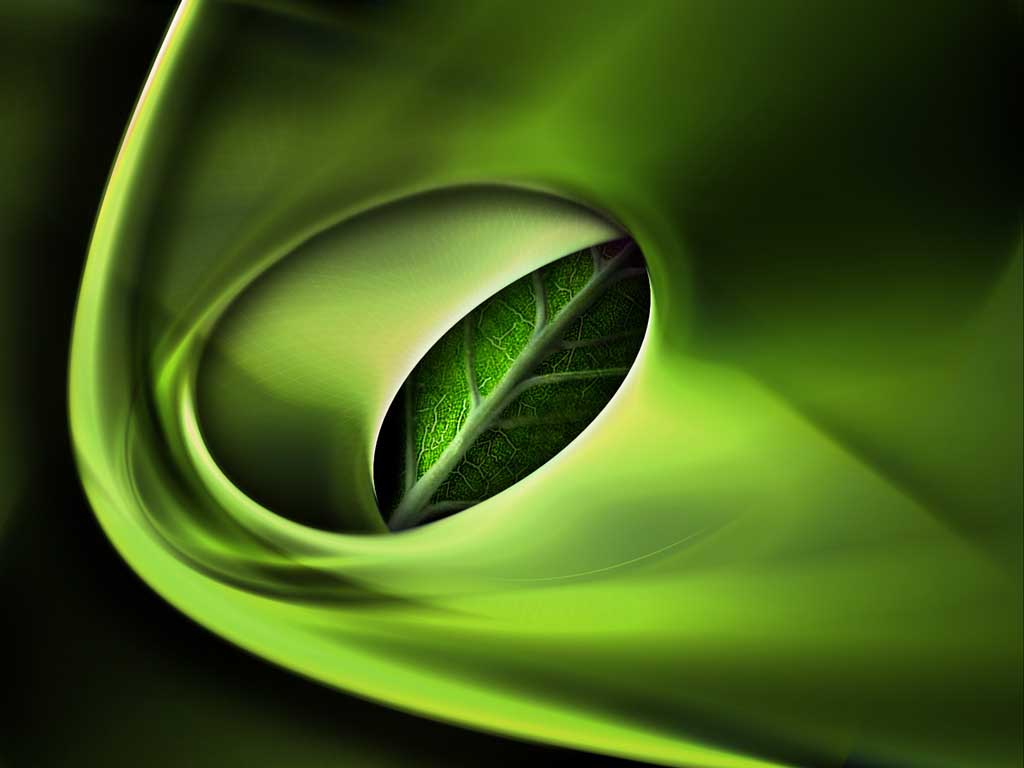 3D Green Slide Nature backgrounds