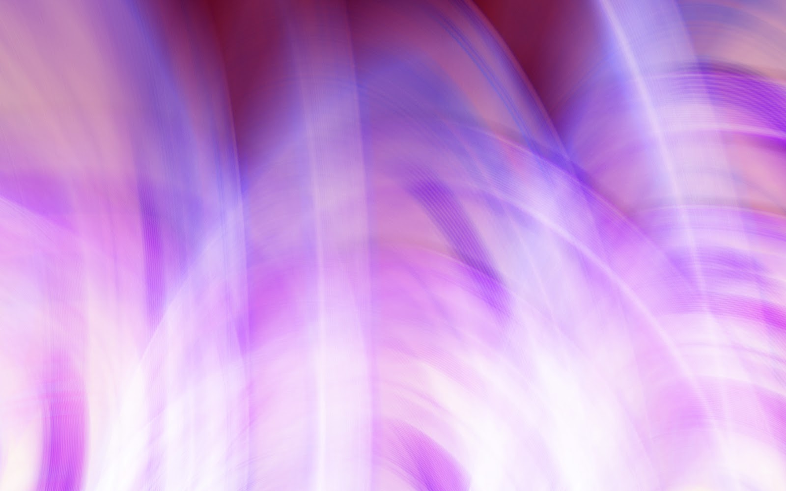 Abstract Blurry Purple backgrounds