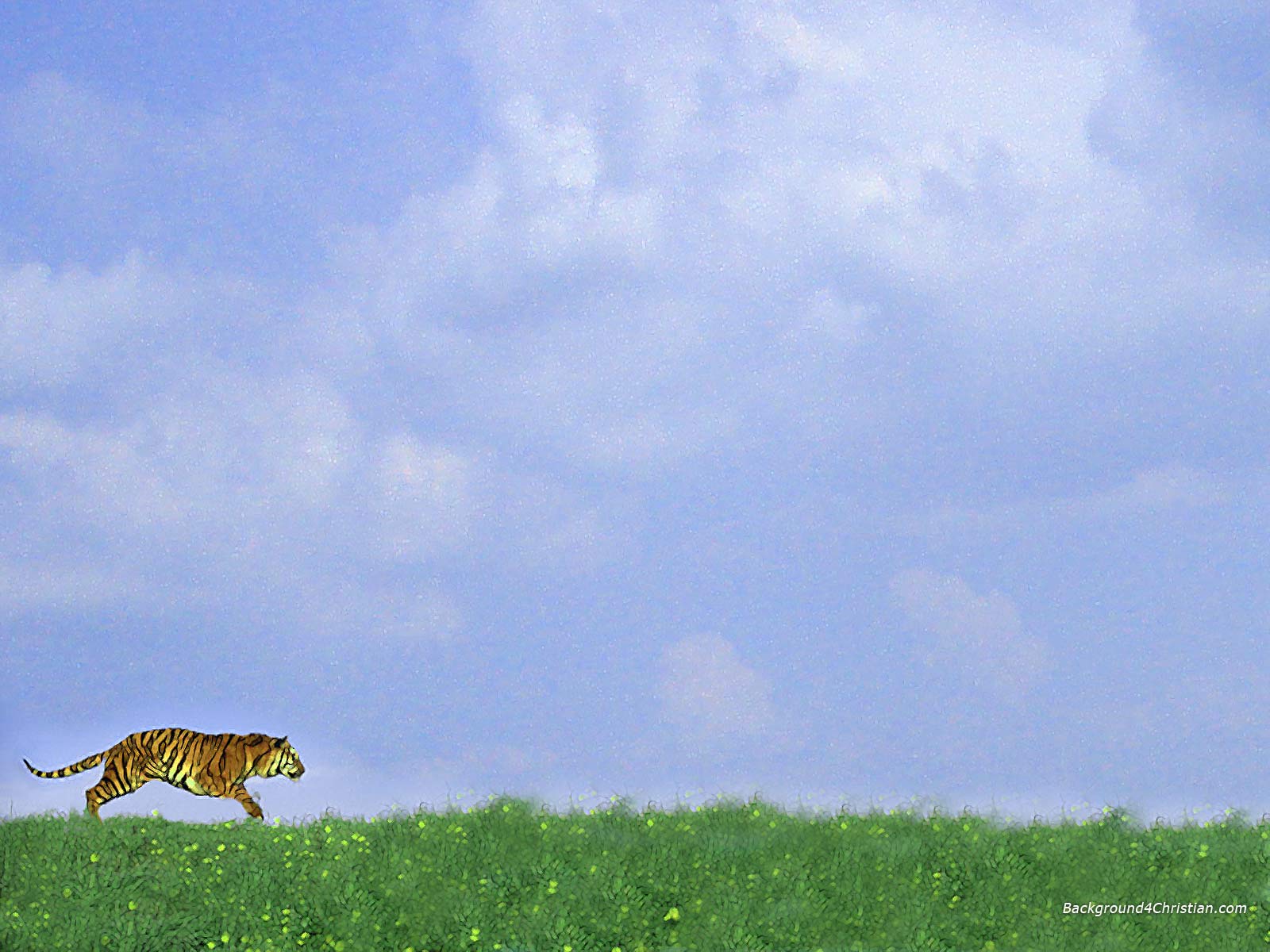 Runing Tiger Free PPT Backgrounds for your PowerPoint Templates