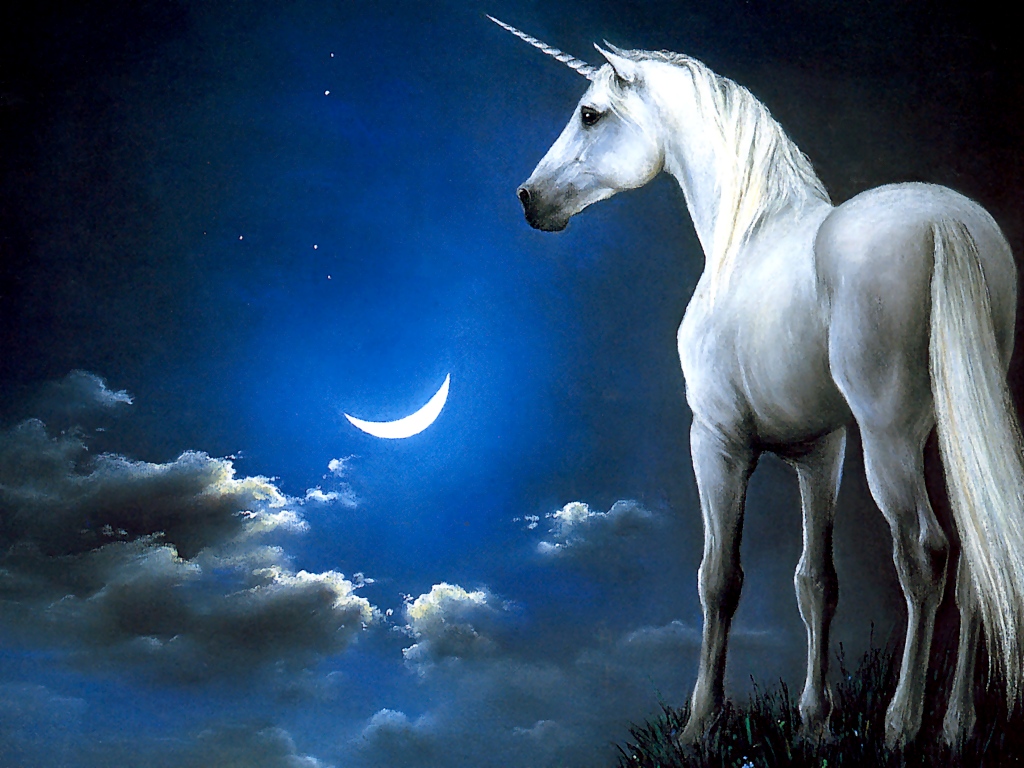 Unicorn and moon backgrounds