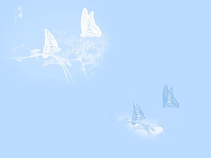 White butterflies