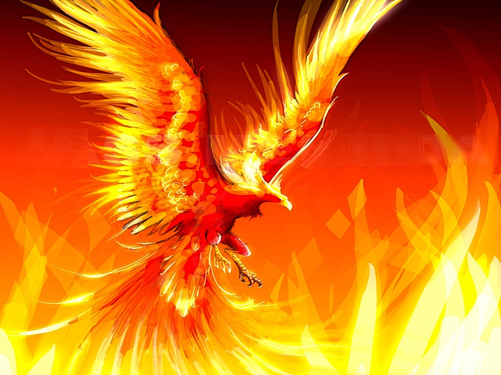 Fire Phoenix backgrounds