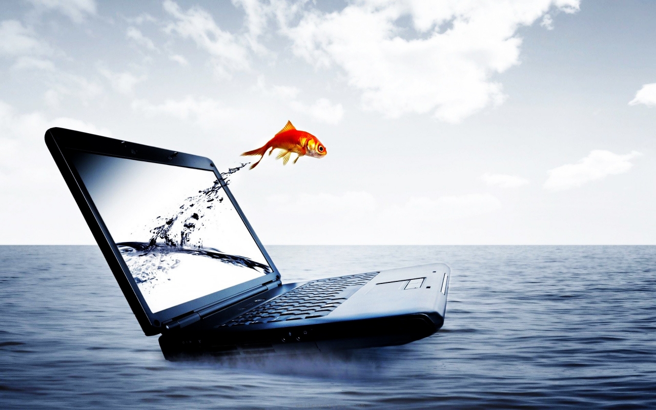 Fish jump in computer backgrounds