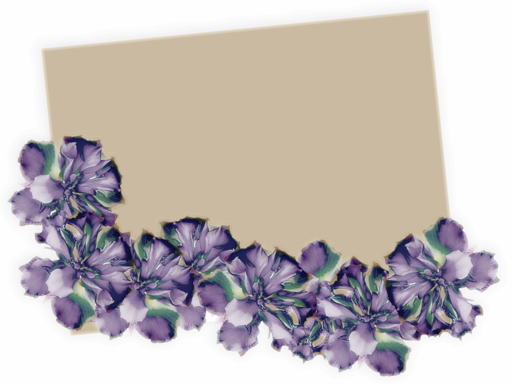 Beautiful floral border backgrounds