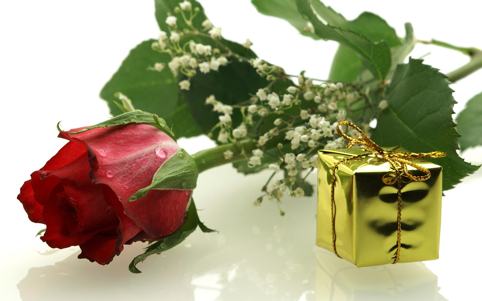 Gift with Rose for Special Days backgrounds