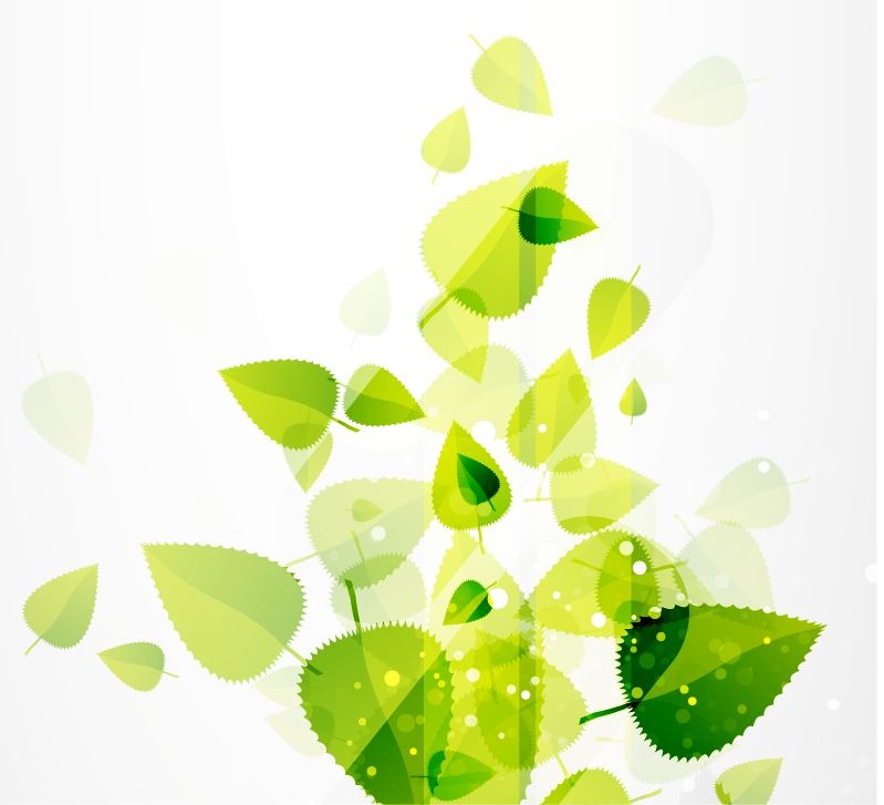 Green Leaves Vector backgrounds