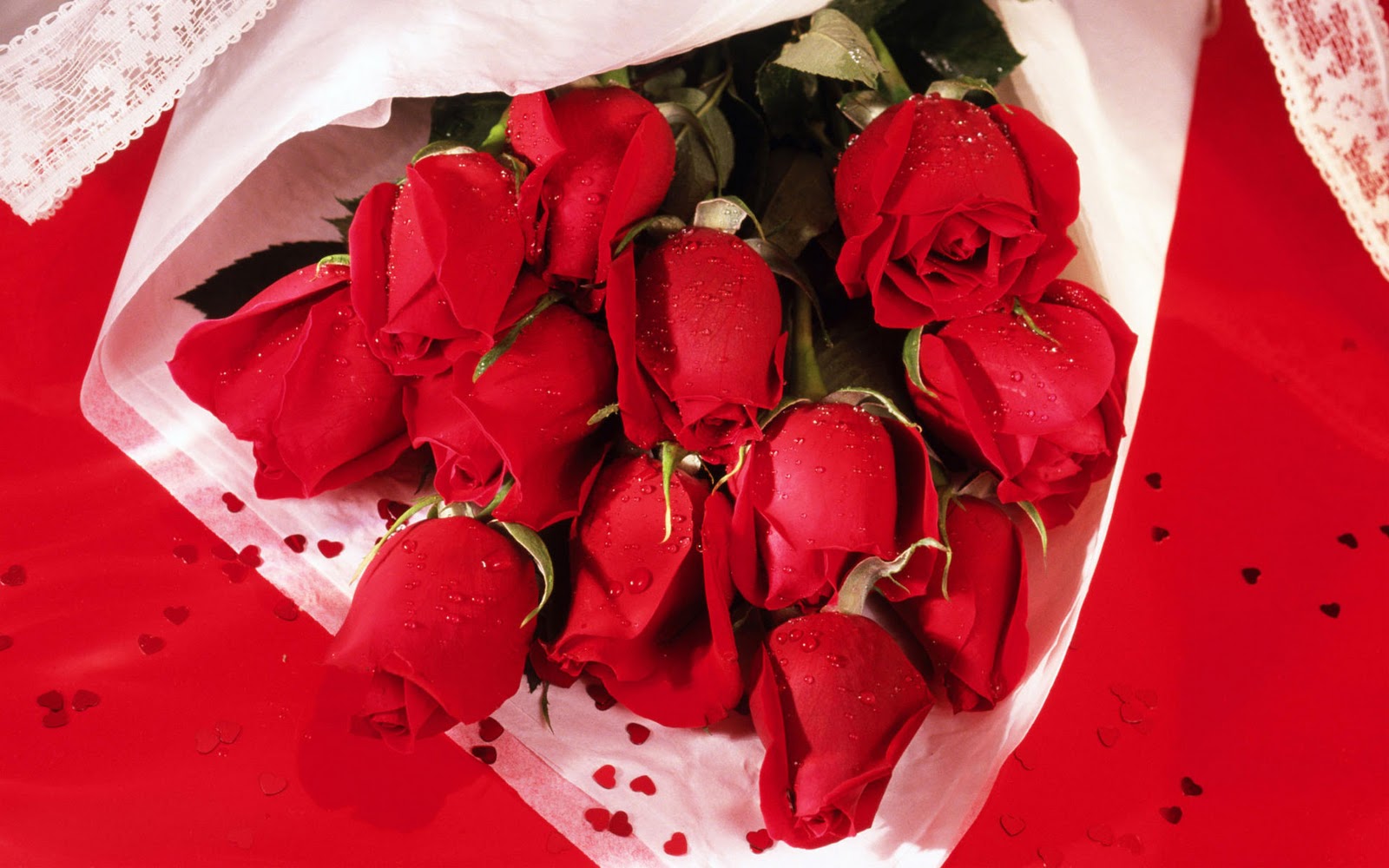Lovely red roses backgrounds