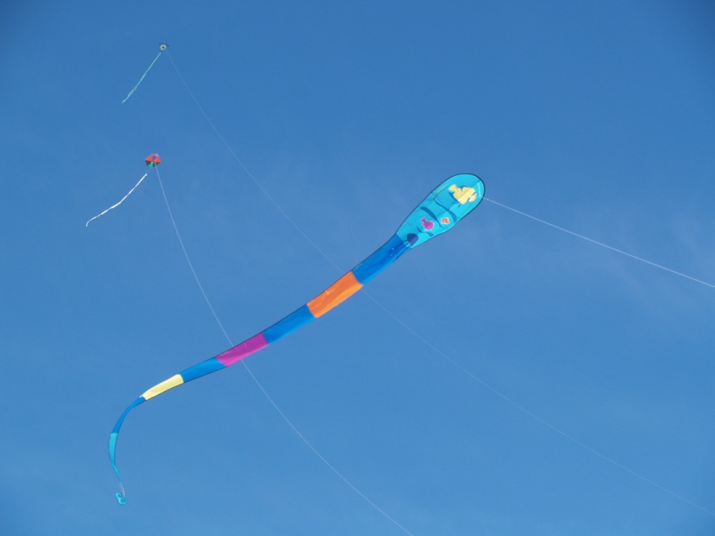 Color Kites