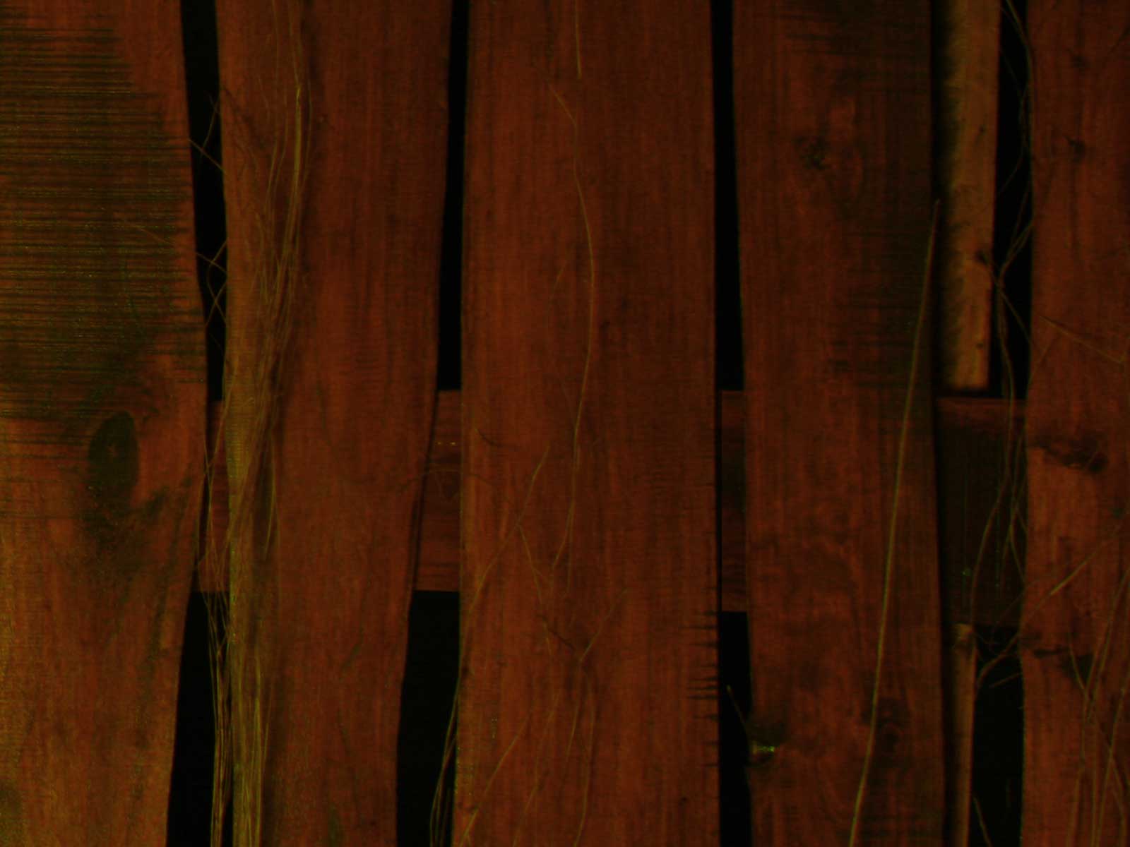 Wood backgrounds