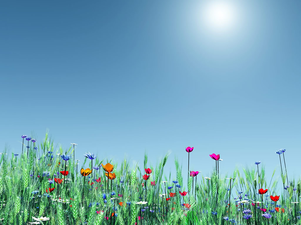 Simple Flower Garden backgrounds