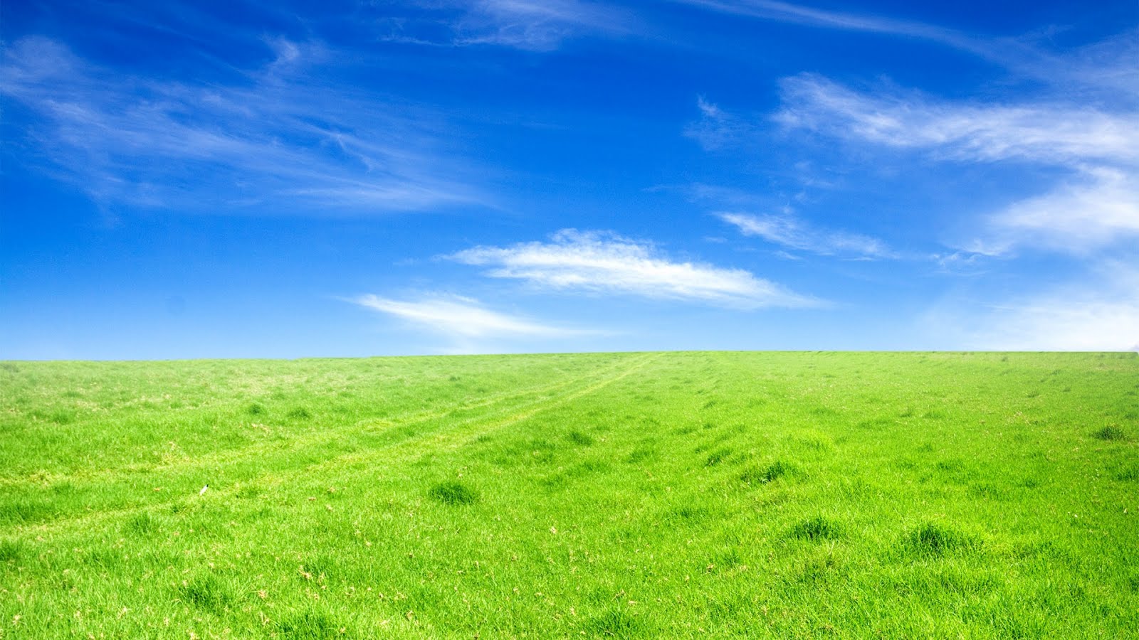 Sky Grass Field Free PPT Backgrounds for your PowerPoint Templates
