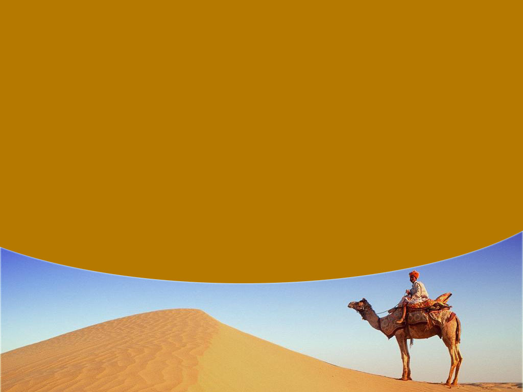 In the Desert With a Camel Ride backgrounds